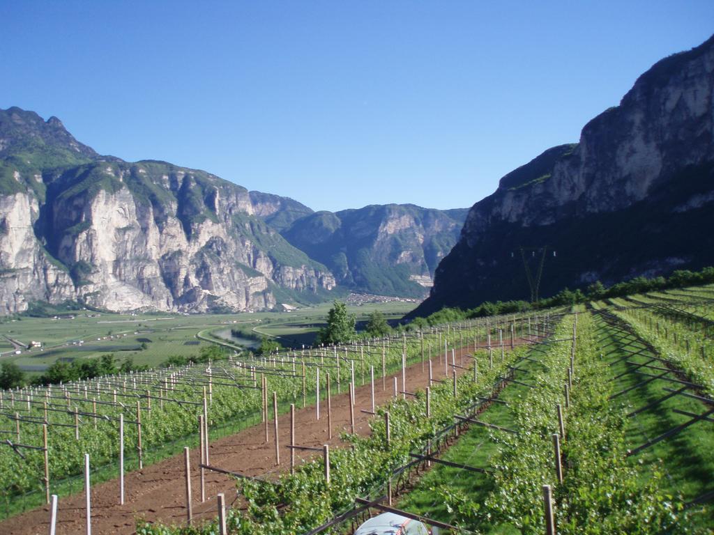 Agritur Maso Barco Villa Faedo Bagian luar foto