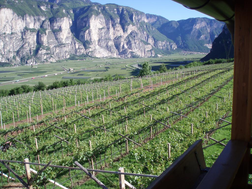 Agritur Maso Barco Villa Faedo Bagian luar foto